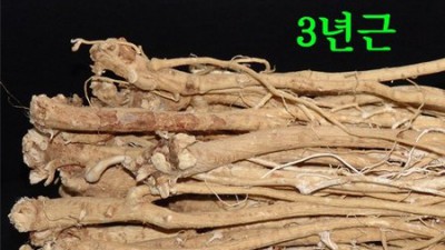 놓치면 후회! 정선황기5년산 리얼 후기 & 꿀팁🍯