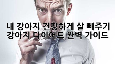 내 강아지, 건강하게 살 빼주기! 강아지 다이어트 완벽 가이드