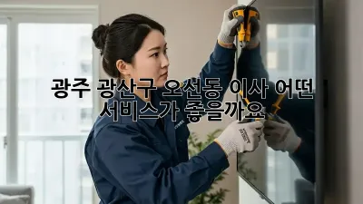 광주 광산구 오선동 이사, 어떤 서비스가 좋을까요?