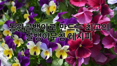 동원골뱅이로 만드는 최고의 골뱅이무침 레시피!