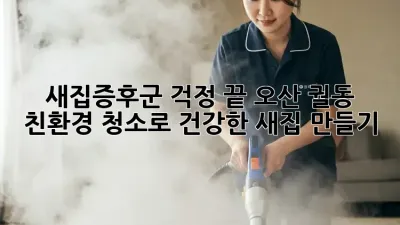 새집증후군 걱정 끝! 오산 궐동 친환경 청소로 건강한 새집 만들기